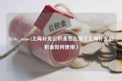 瑞安上海补充公积金怎么交（上海补充公积金如何使用）