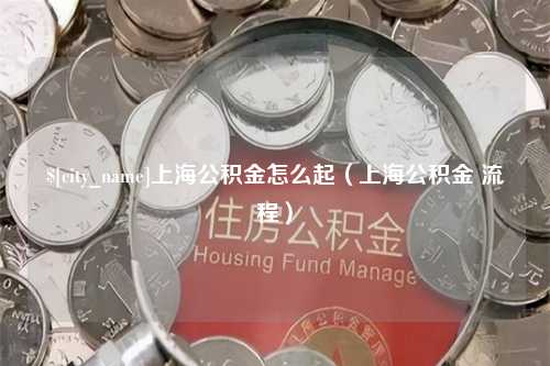 瑞安上海公积金怎么起（上海公积金 流程）